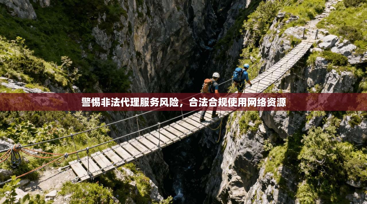 警惕非法代理服务风险，合法合规使用网络资源