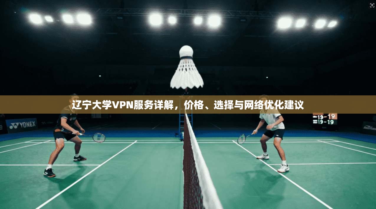 辽宁大学VPN服务详解，价格、选择与网络优化建议