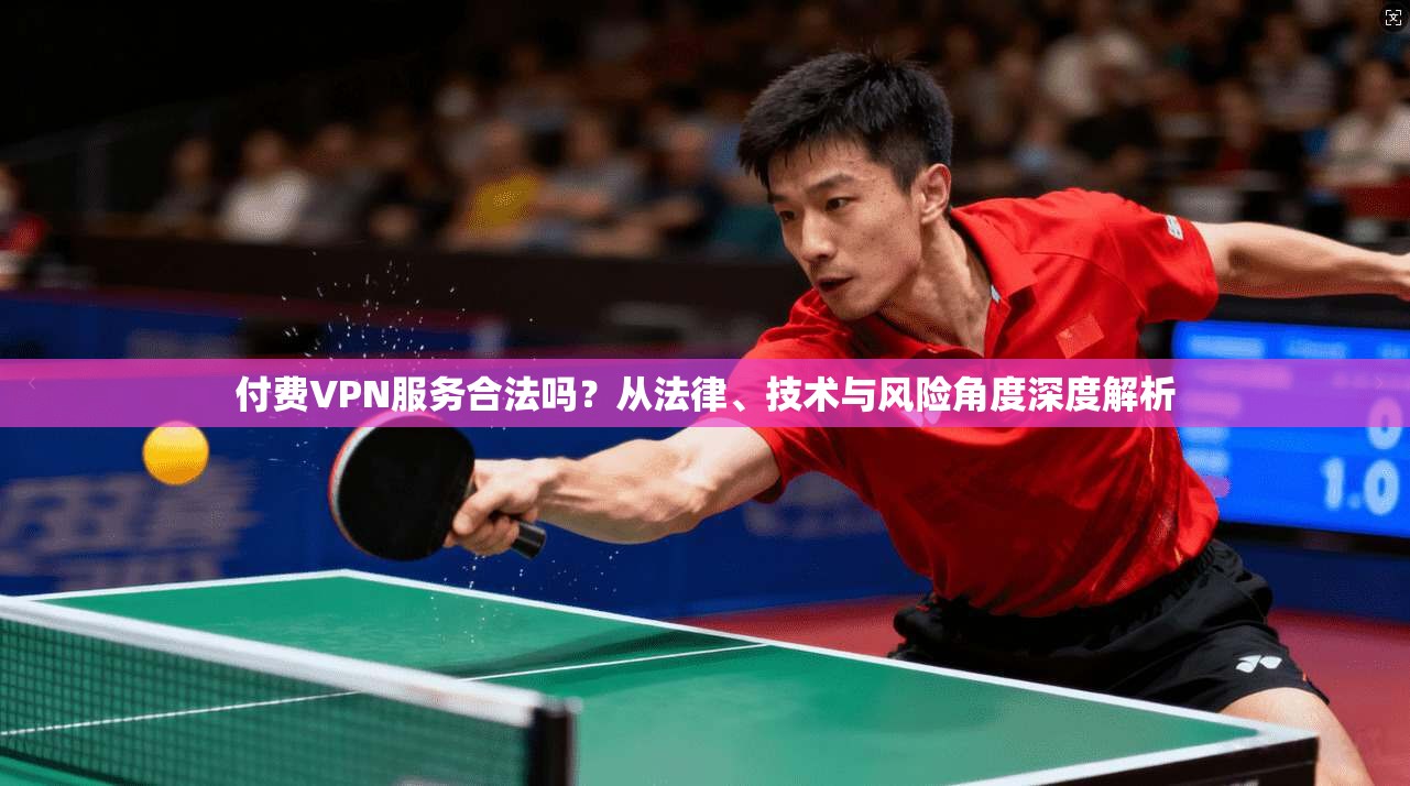 付费VPN服务合法吗？从法律、技术与风险角度深度解析