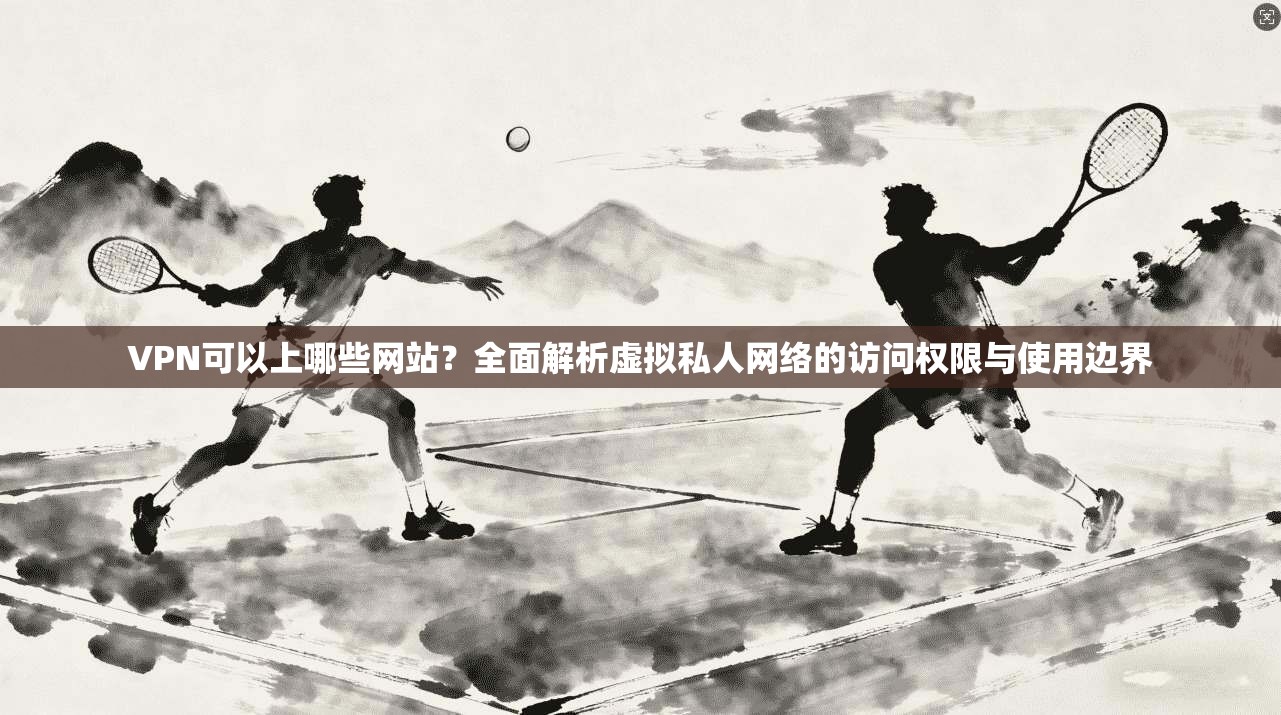 VPN可以上哪些网站？全面解析虚拟私人网络的访问权限与使用边界