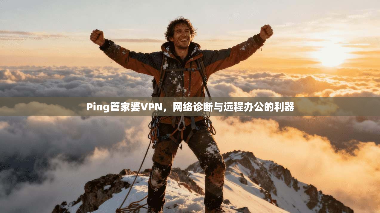 Ping管家婆VPN，网络诊断与远程办公的利器