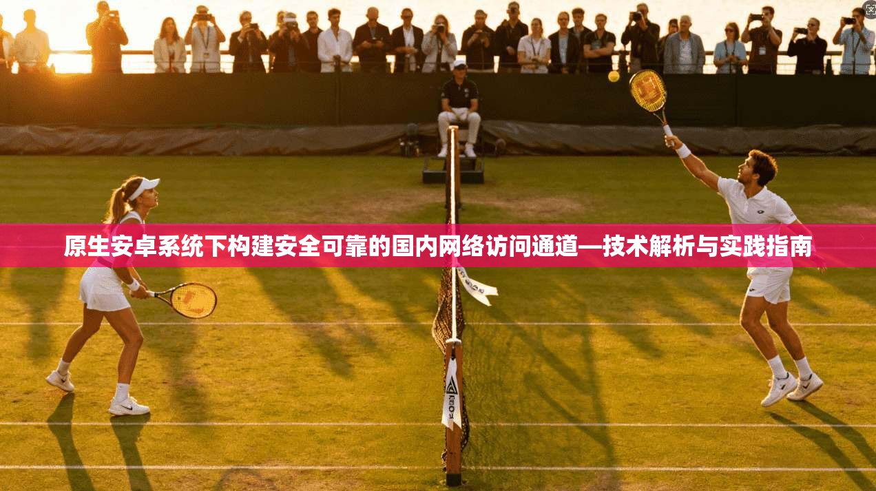 原生安卓系统下构建安全可靠的国内网络访问通道—技术解析与实践指南