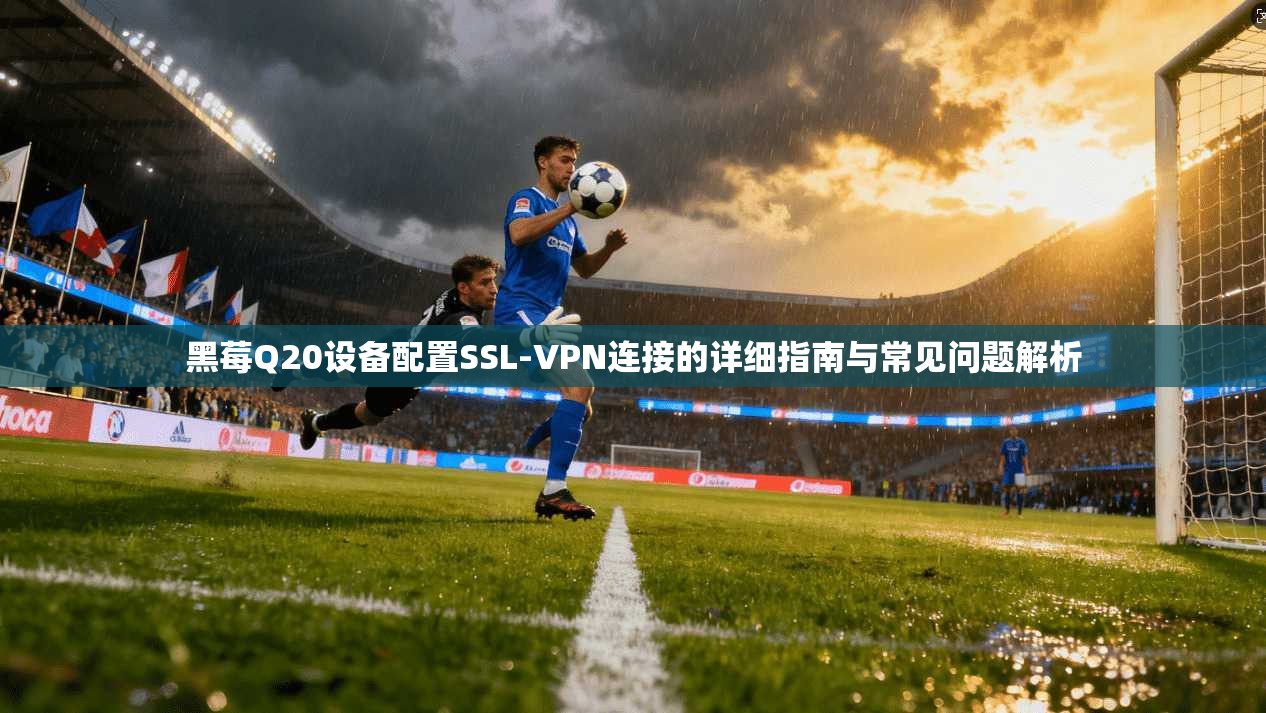 黑莓Q20设备配置SSL-VPN连接的详细指南与常见问题解析