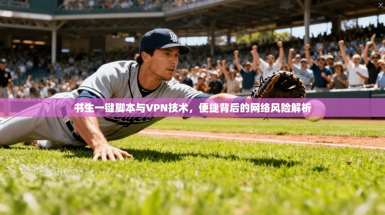 书生一键脚本与VPN技术，便捷背后的网络风险解析