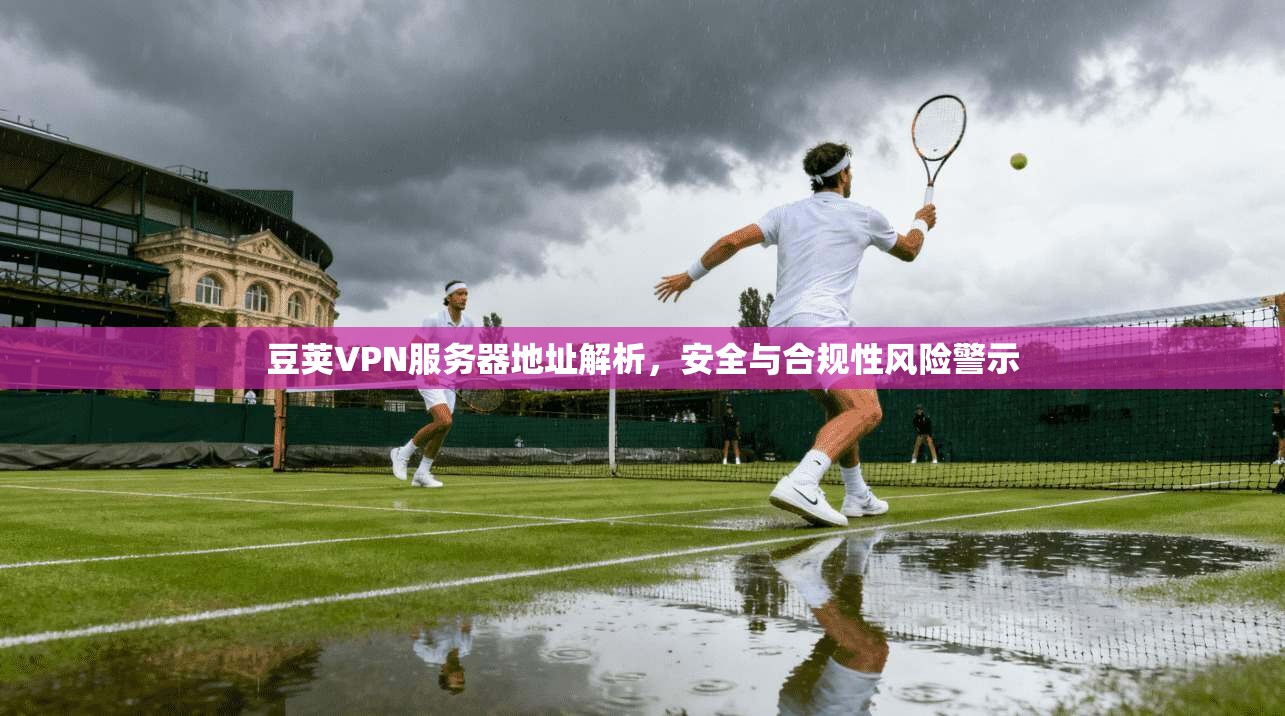 豆荚VPN服务器地址解析，安全与合规性风险警示