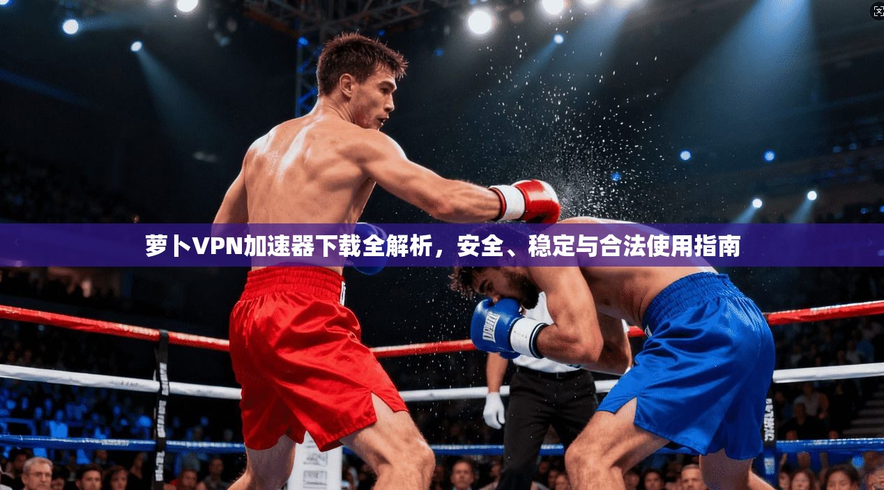 萝卜VPN加速器下载全解析，安全、稳定与合法使用指南