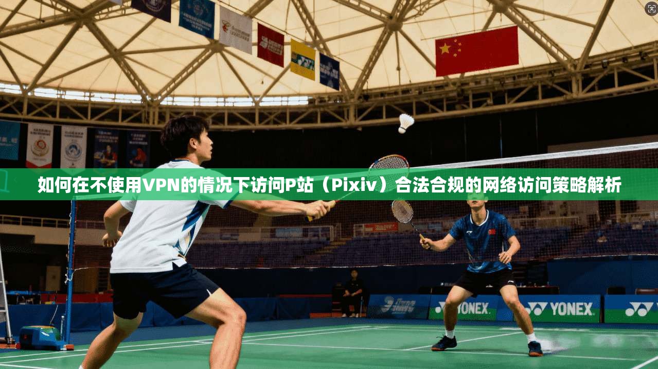 如何在不使用VPN的情况下访问P站（Pixiv）合法合规的网络访问策略解析