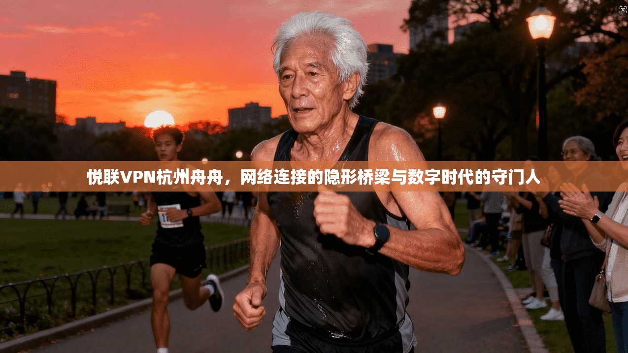 悦联VPN杭州舟舟,网络连接的隐形桥梁与数字时代的守门人