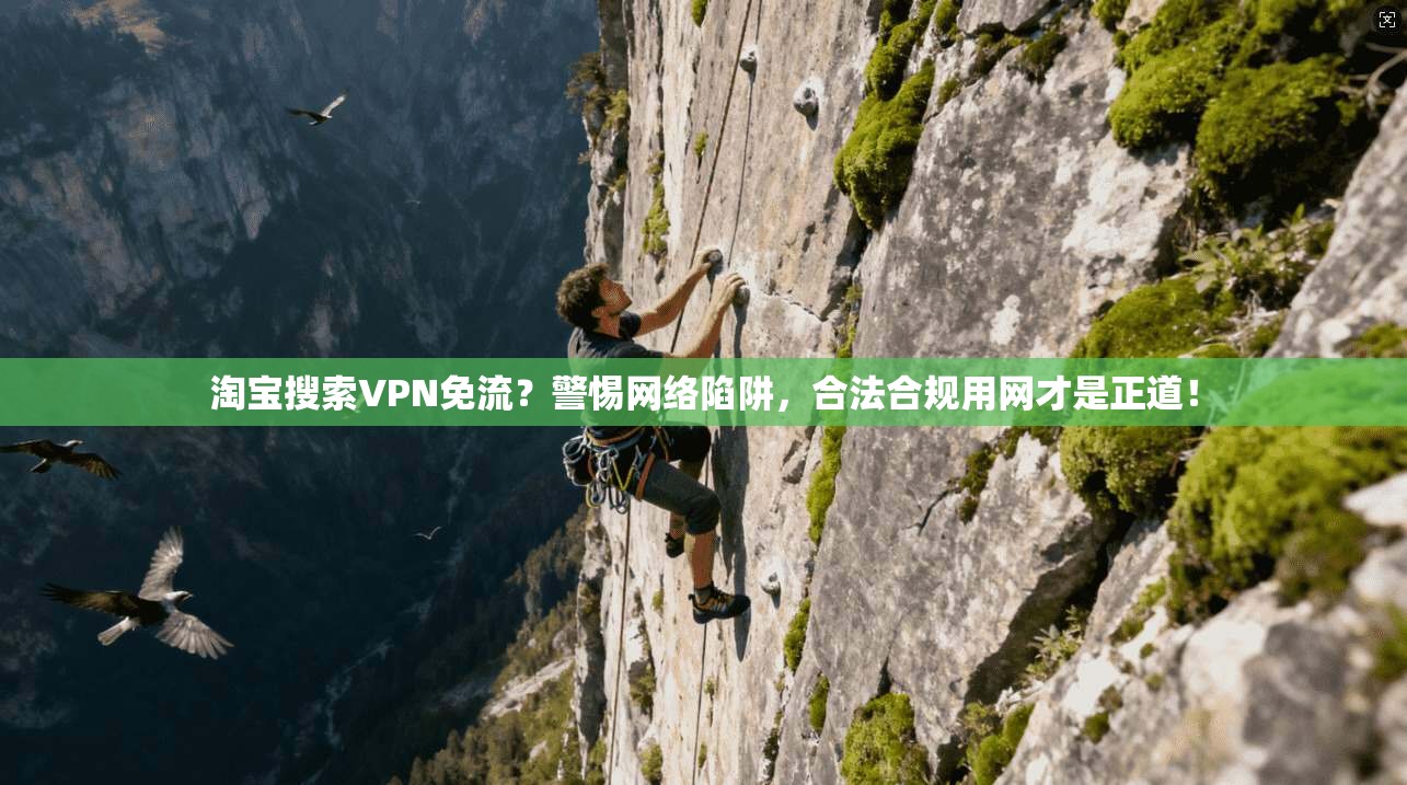 淘宝搜索VPN免流?警惕网络陷阱,合法合规用网才是正道!