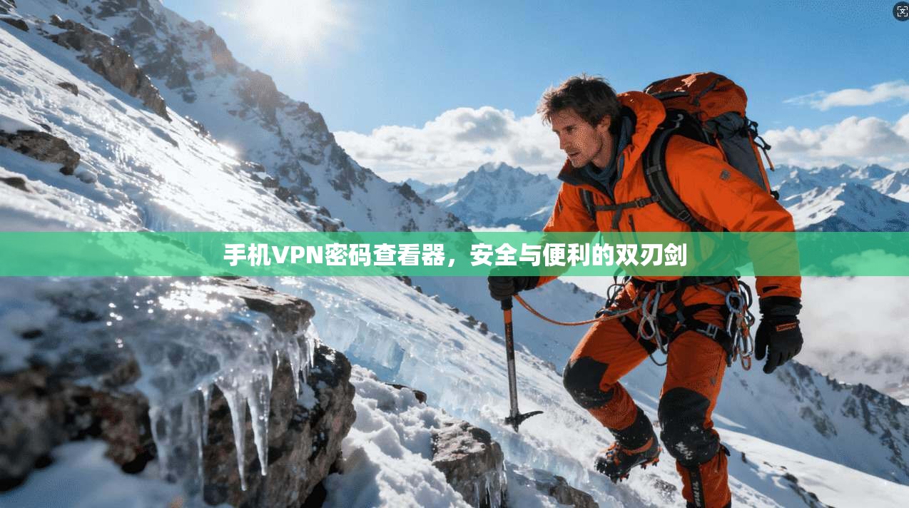 手机VPN密码查看器，安全与便利的双刃剑