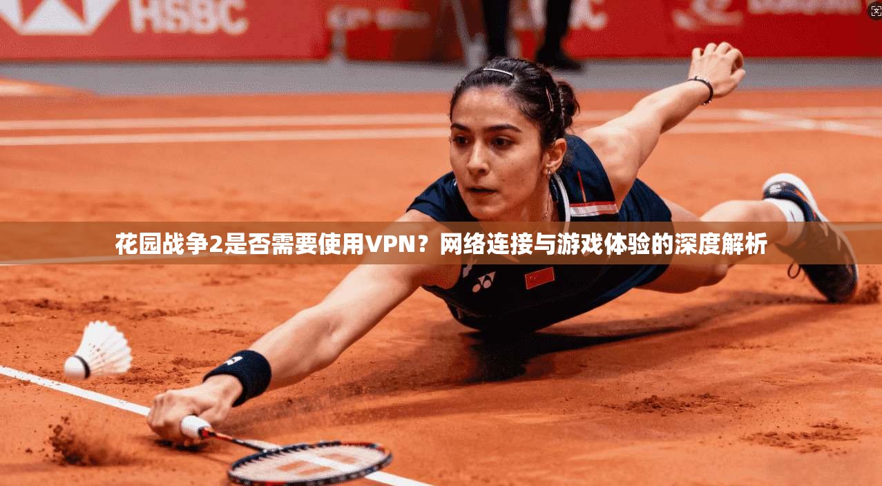 花园战争2是否需要使用VPN？网络连接与游戏体验的深度解析