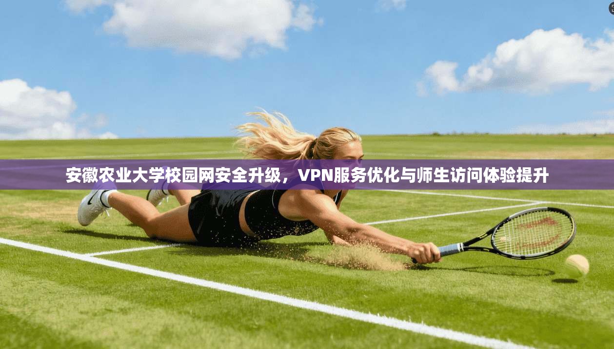 安徽农业大学校园网安全升级,VPN服务优化与师生访问体验提升