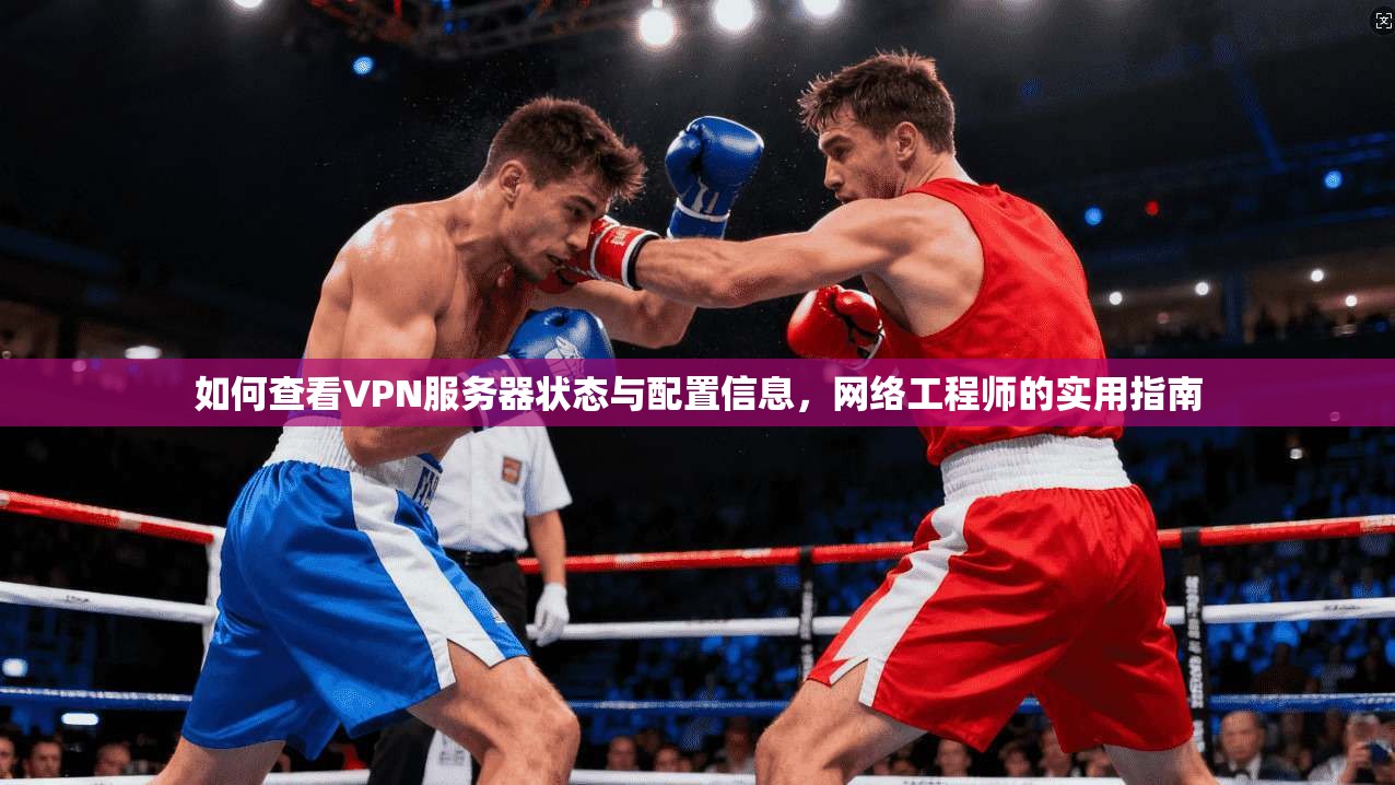 如何查看VPN服务器状态与配置信息，网络工程师的实用指南