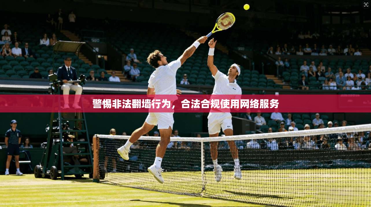 警惕非法翻墙行为，合法合规使用网络服务