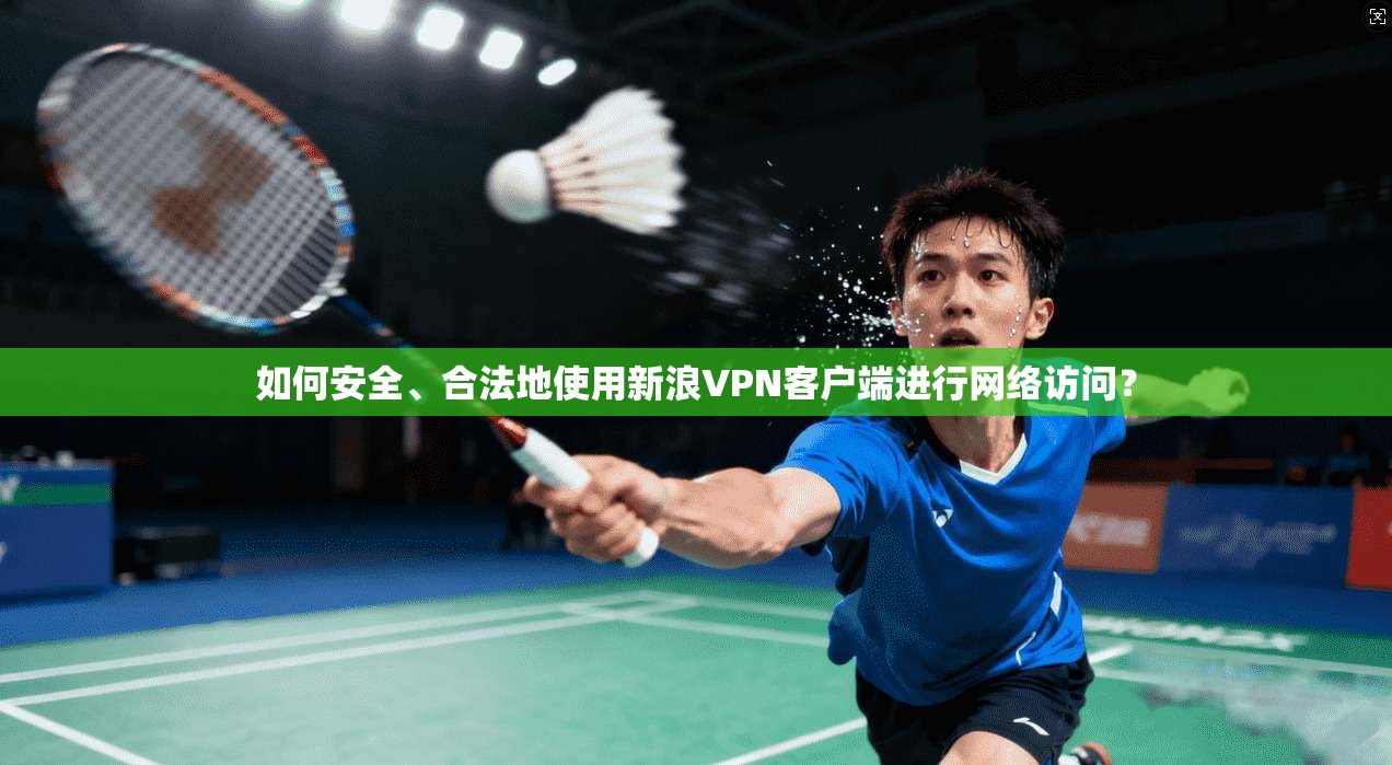 如何安全、合法地使用新浪VPN客户端进行网络访问？