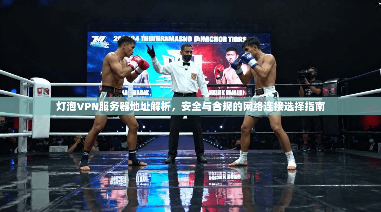 灯泡VPN服务器地址解析,安全与合规的网络连接选择指南