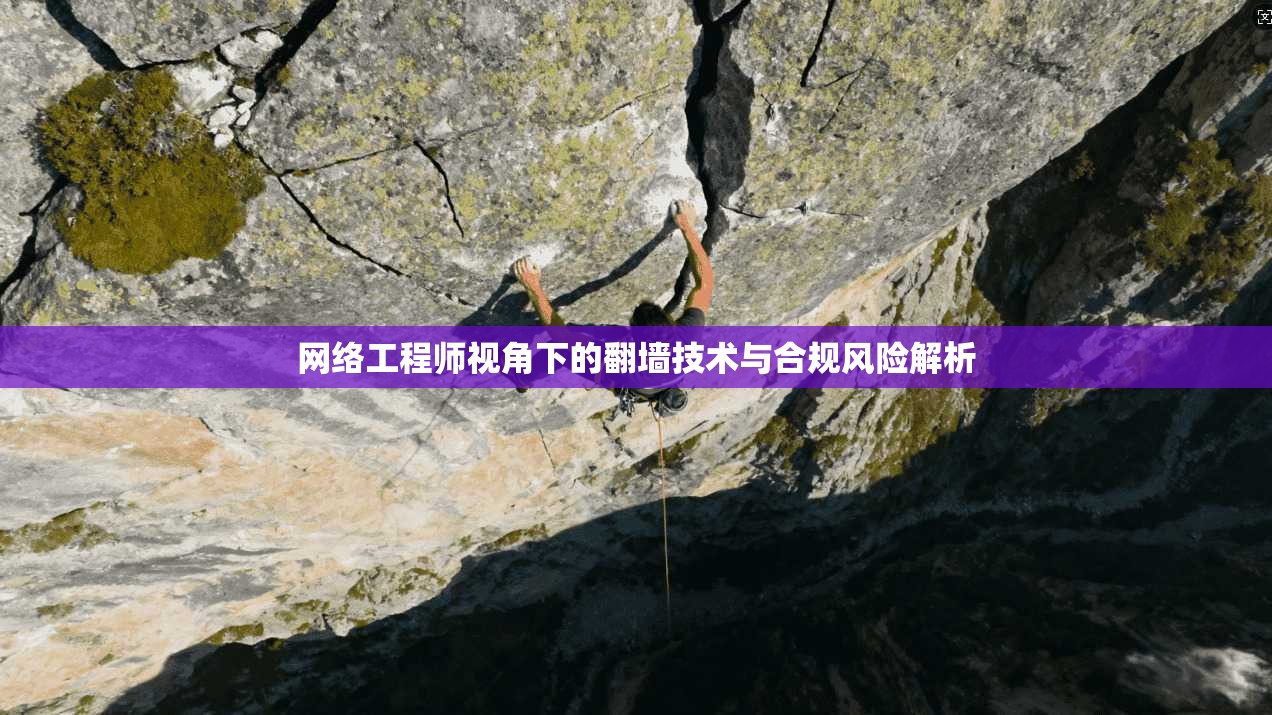 网络工程师视角下的翻墙技术与合规风险解析