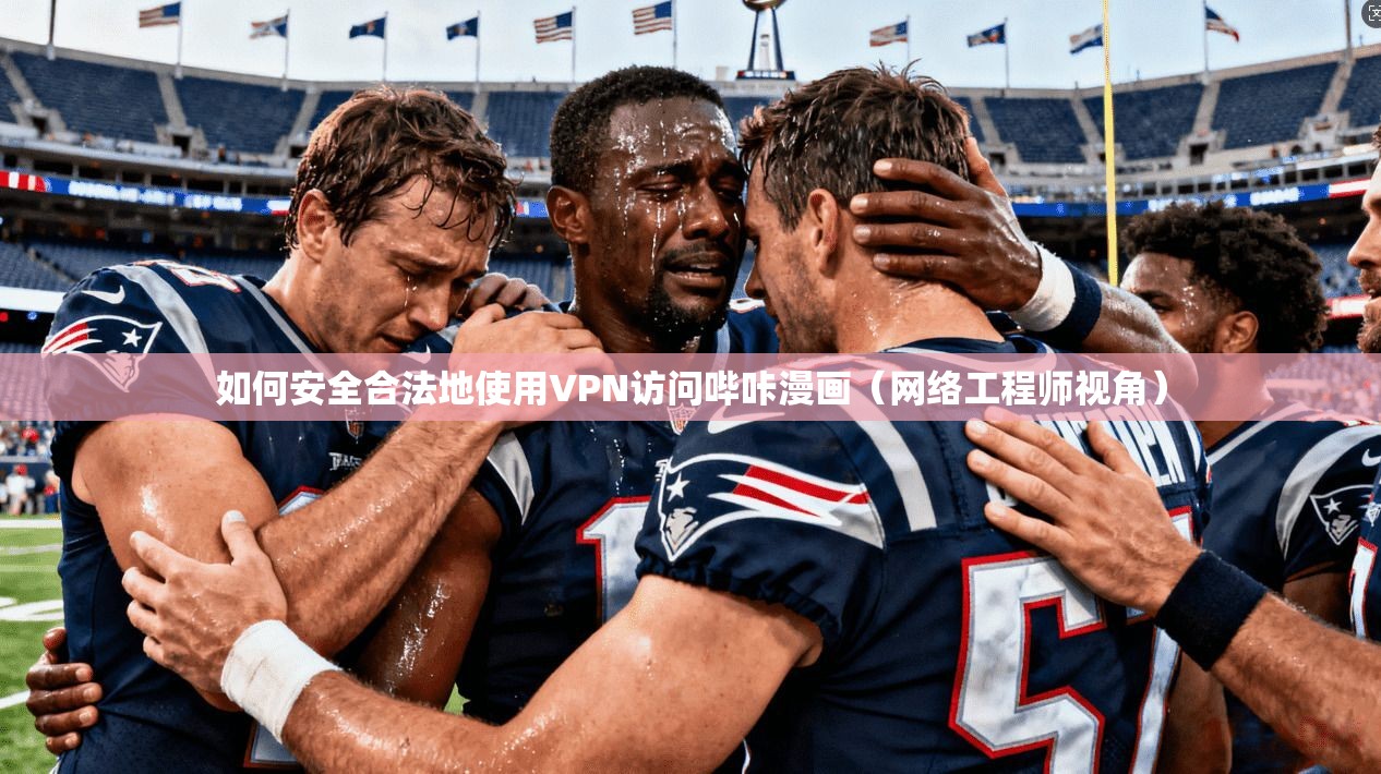 如何安全合法地使用VPN访问哔咔漫画（网络工程师视角）