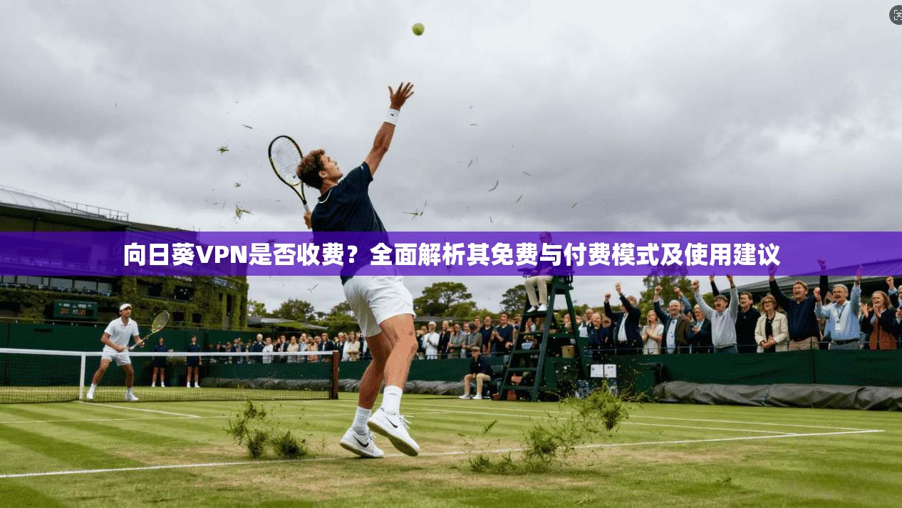 向日葵VPN是否收费？全面解析其免费与付费模式及使用建议