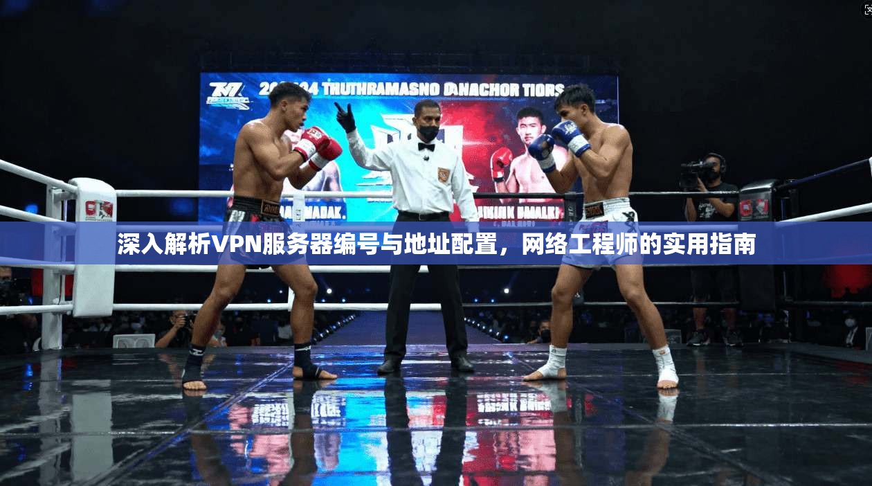 深入解析VPN服务器编号与地址配置，网络工程师的实用指南