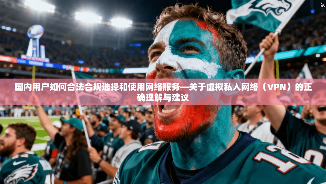 国内用户如何合法合规选择和使用网络服务—关于虚拟私人网络（VPN）的正确理解与建议