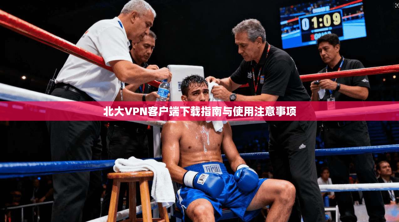 北大VPN客户端下载指南与使用注意事项