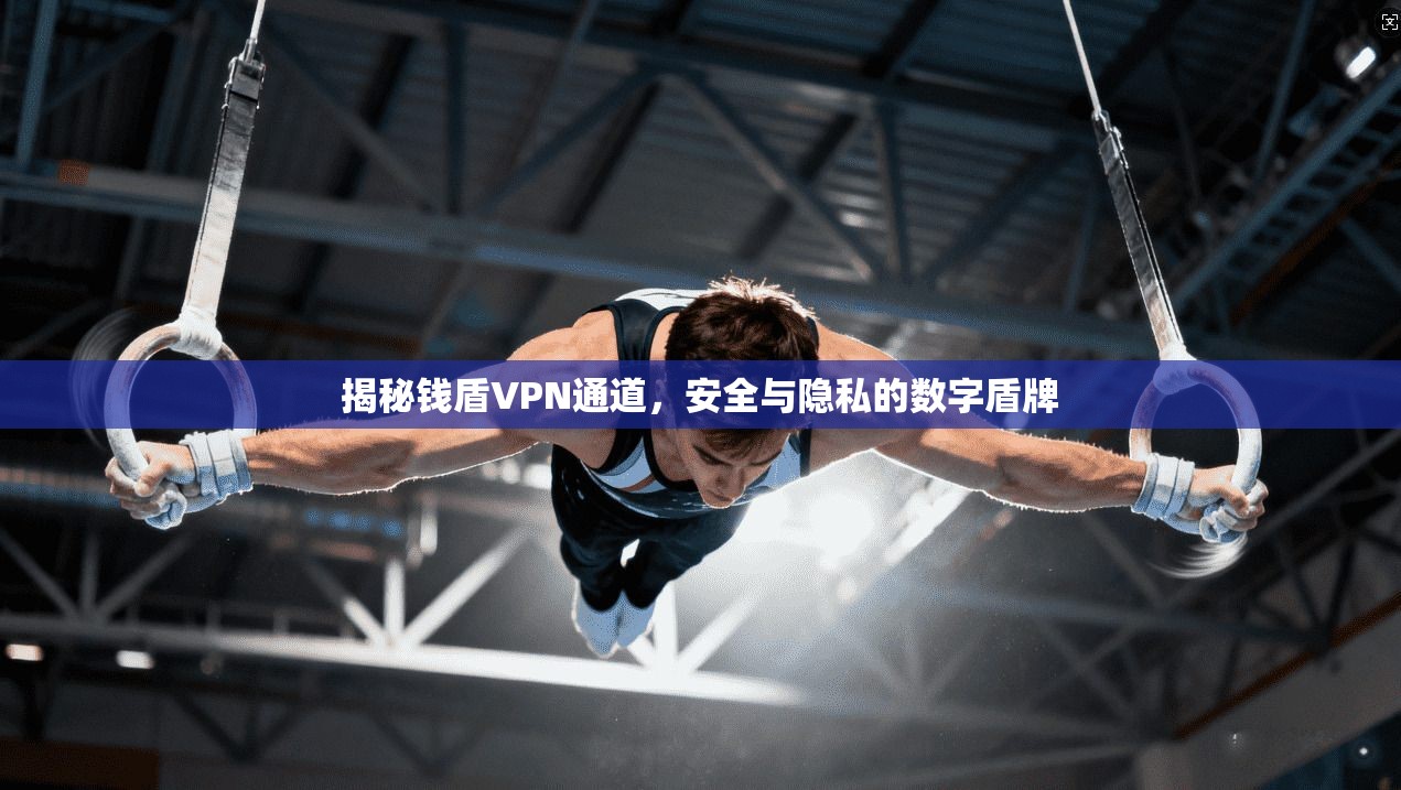 揭秘钱盾VPN通道，安全与隐私的数字盾牌