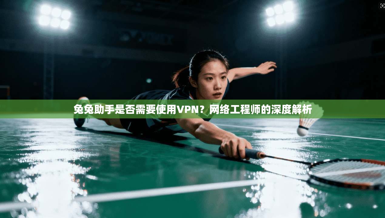 兔兔助手是否需要使用VPN？网络工程师的深度解析