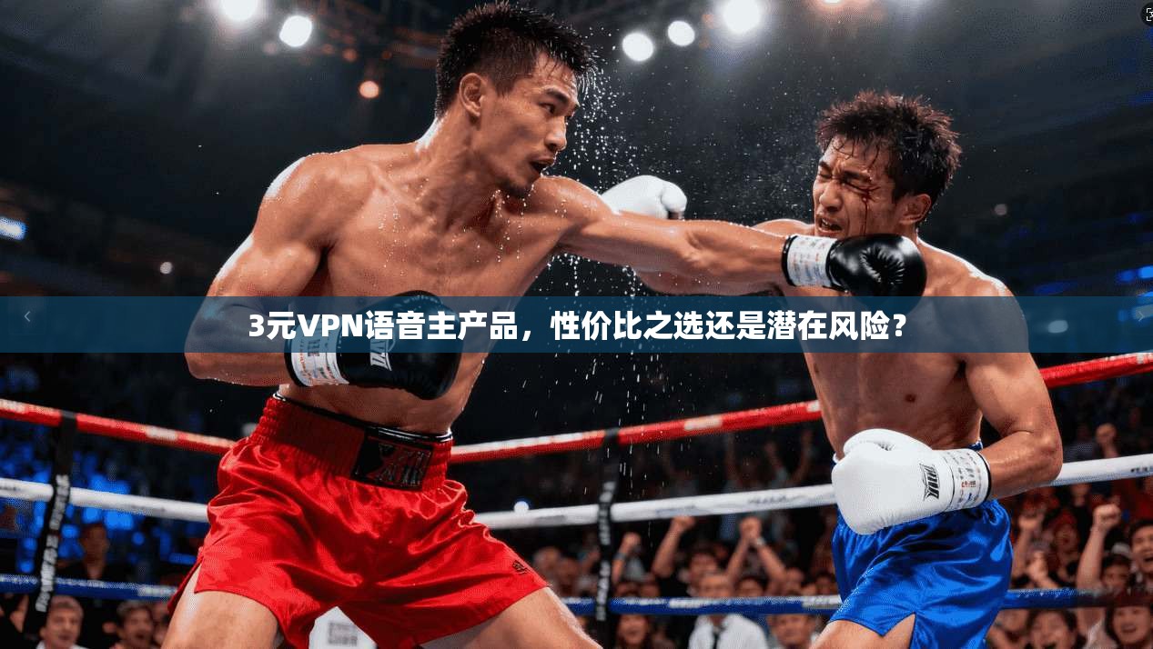 3元VPN语音主产品，性价比之选还是潜在风险？