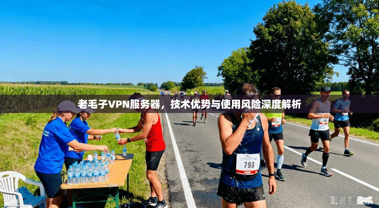 老毛子VPN服务器，技术优势与使用风险深度解析