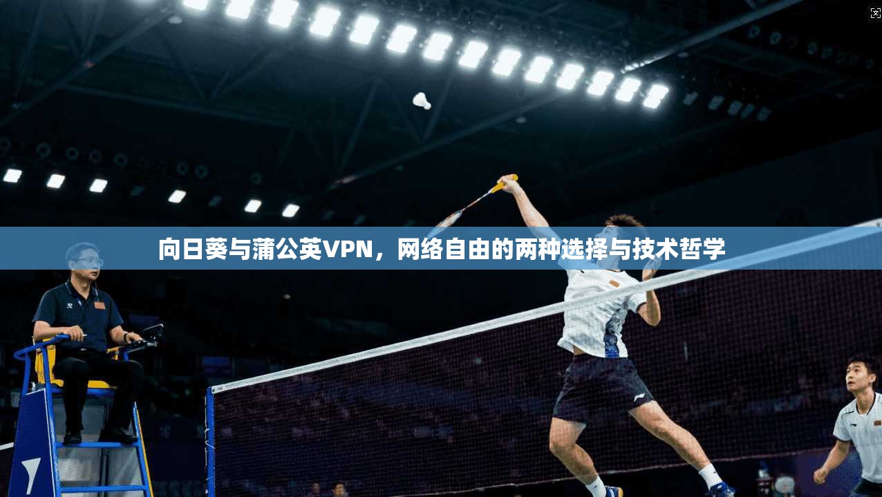 向日葵与蒲公英VPN,网络自由的两种选择与技术哲学