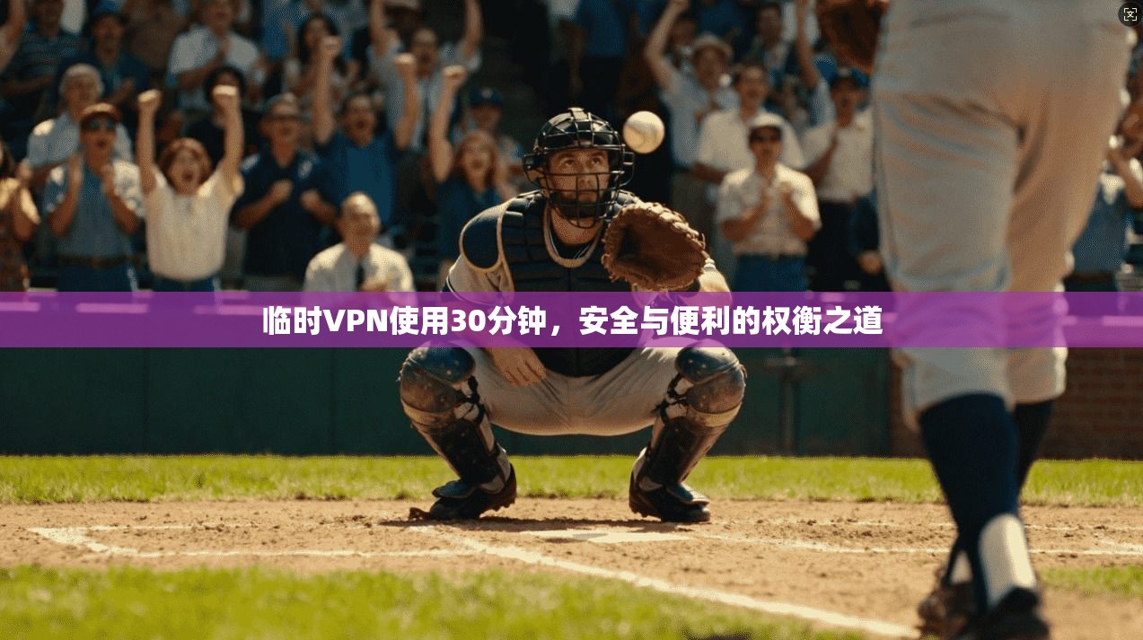 临时VPN使用30分钟，安全与便利的权衡之道