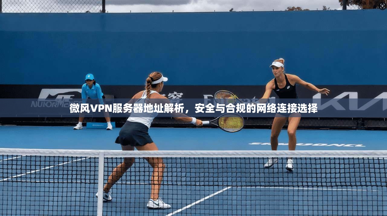 微风VPN服务器地址解析，安全与合规的网络连接选择