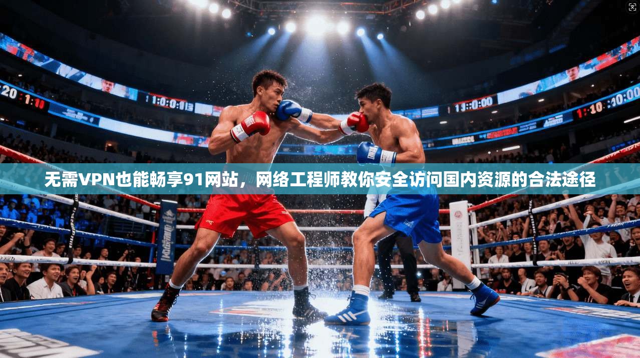无需VPN也能畅享91网站，网络工程师教你安全访问国内资源的合法途径