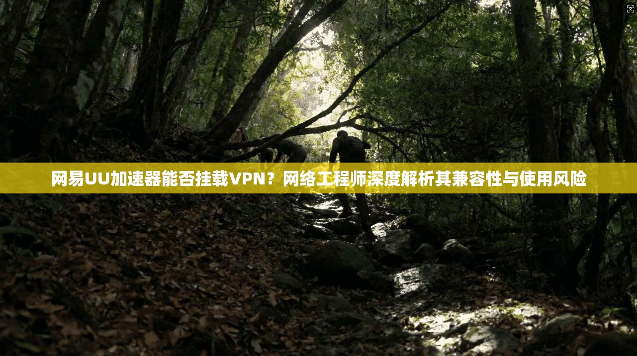 网易UU加速器能否挂载VPN？网络工程师深度解析其兼容性与使用风险