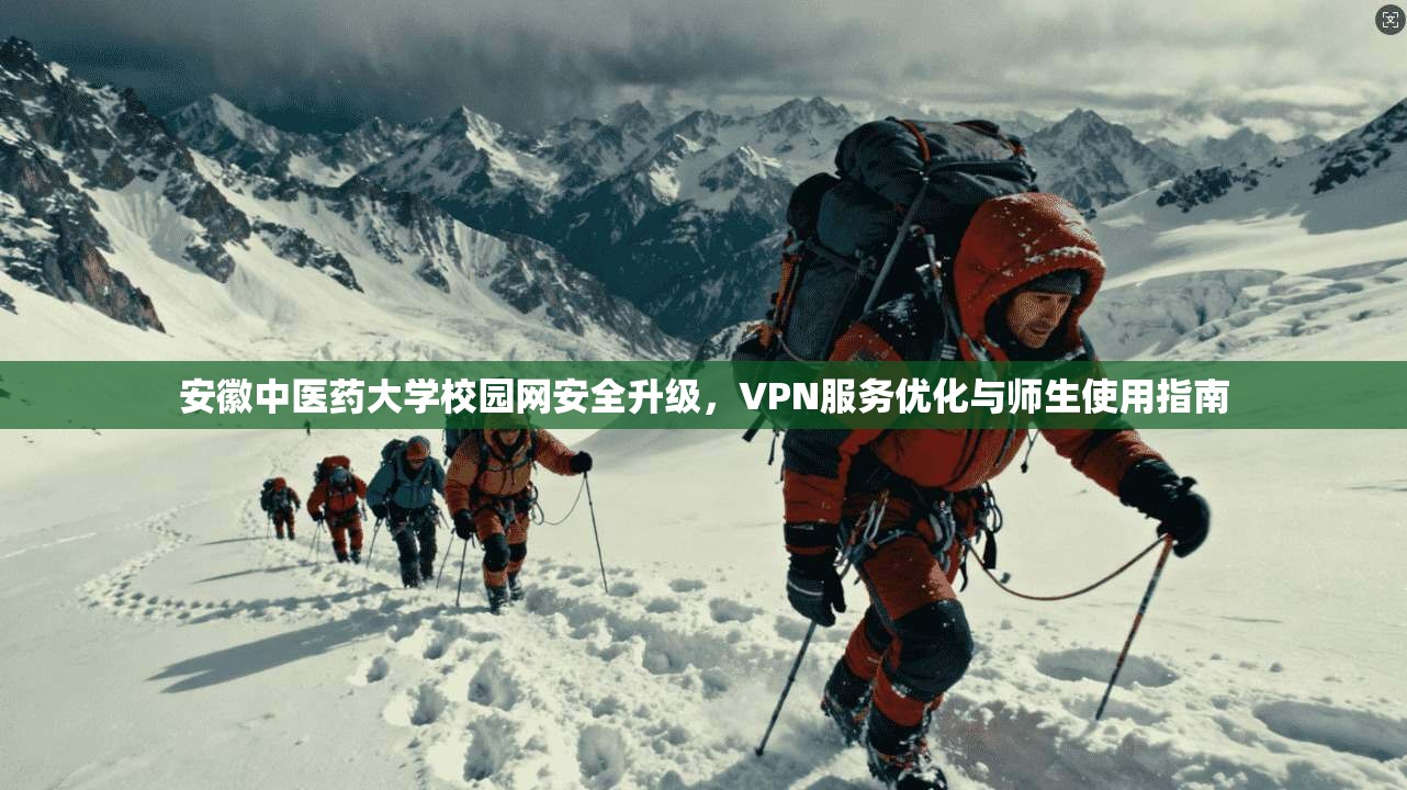 安徽中医药大学校园网安全升级，VPN服务优化与师生使用指南