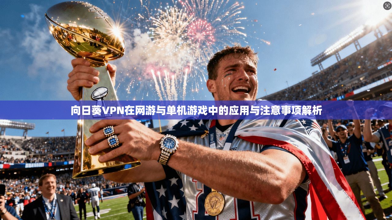 向日葵VPN在网游与单机游戏中的应用与注意事项解析