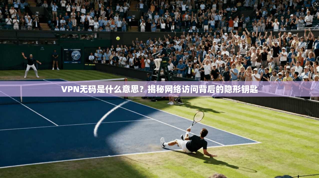 VPN无码是什么意思？揭秘网络访问背后的隐形钥匙