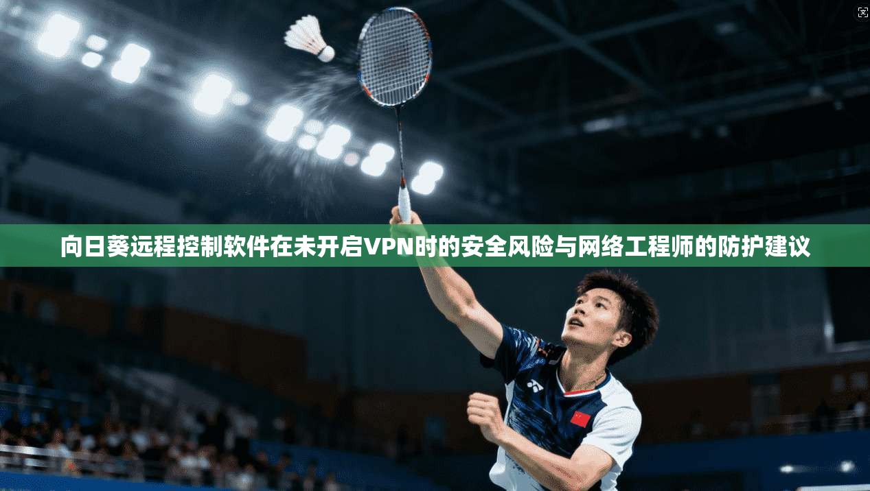 向日葵远程控制软件在未开启VPN时的安全风险与网络工程师的防护建议