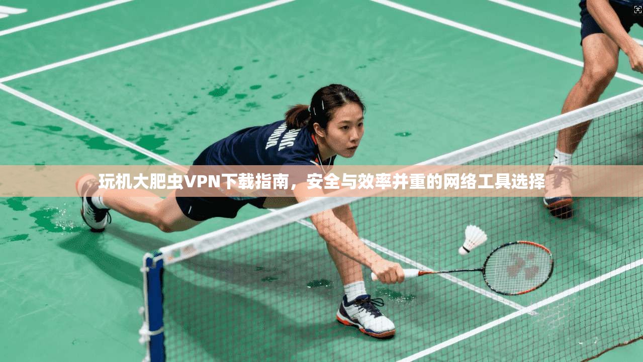 玩机大肥虫VPN下载指南，安全与效率并重的网络工具选择