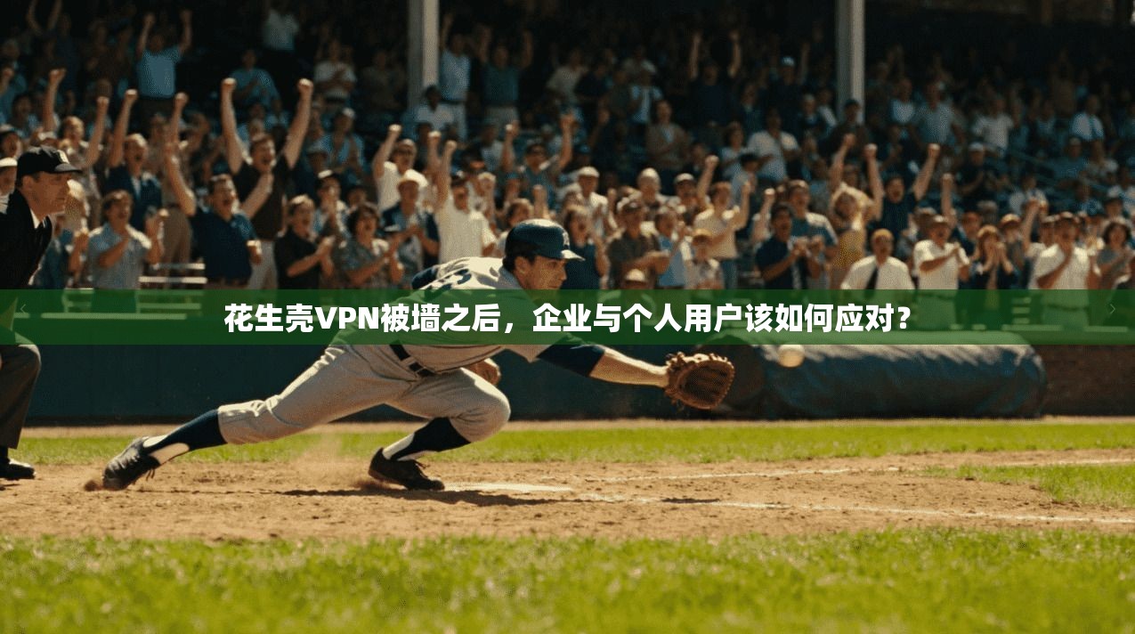 花生壳VPN被墙之后，企业与个人用户该如何应对？