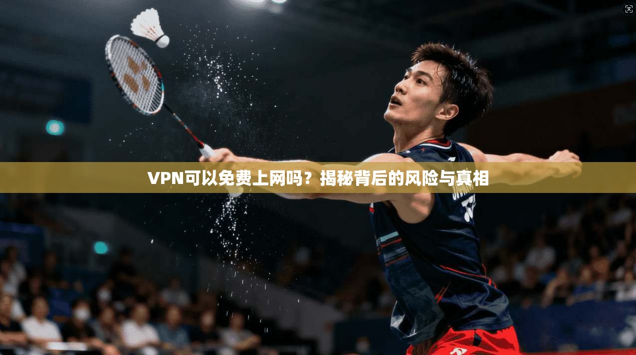 VPN可以免费上网吗？揭秘背后的风险与真相