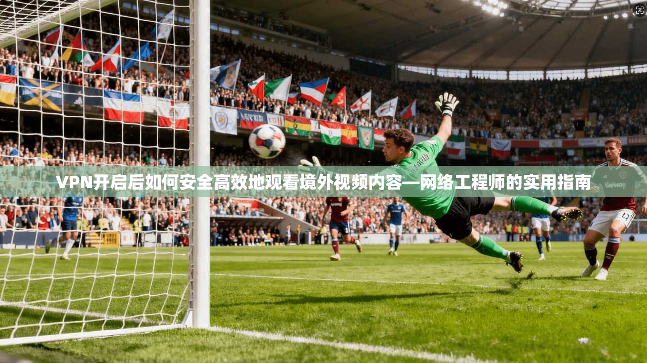 VPN开启后如何安全高效地观看境外视频内容—网络工程师的实用指南