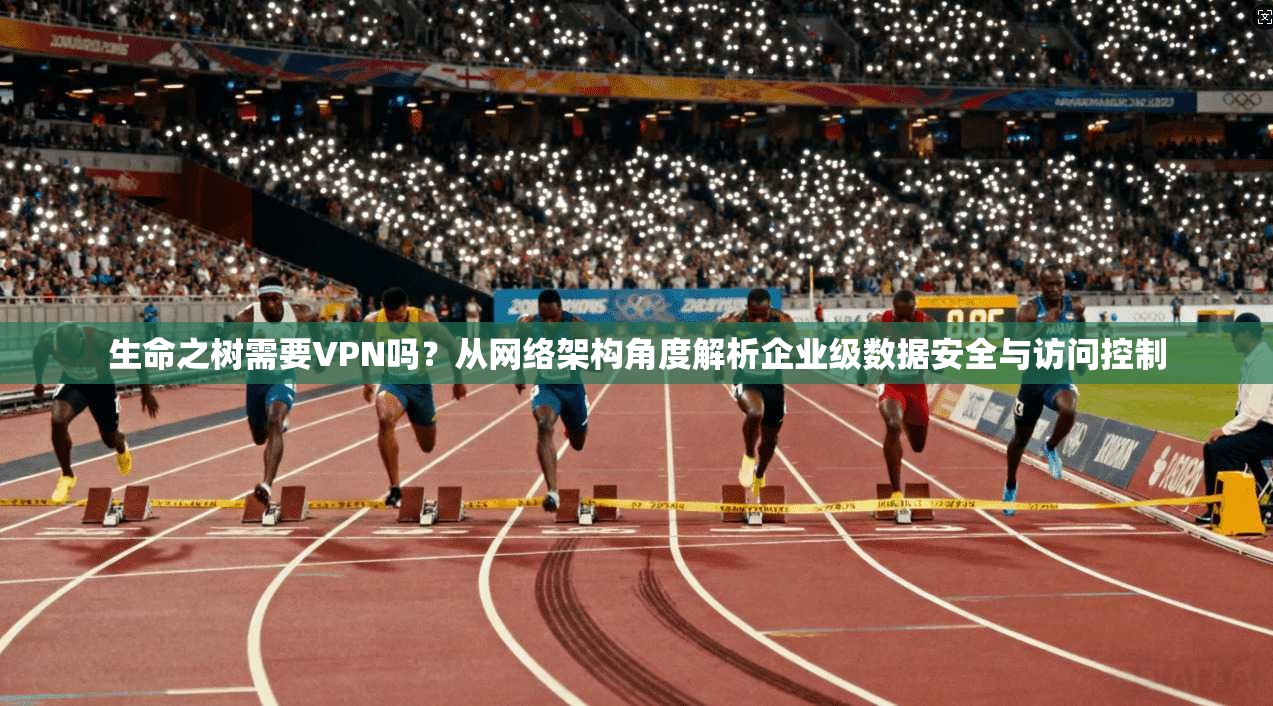 生命之树需要VPN吗？从网络架构角度解析企业级数据安全与访问控制