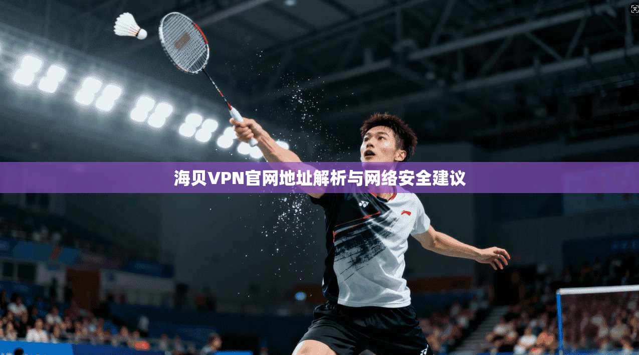 海贝VPN官网地址解析与网络安全建议