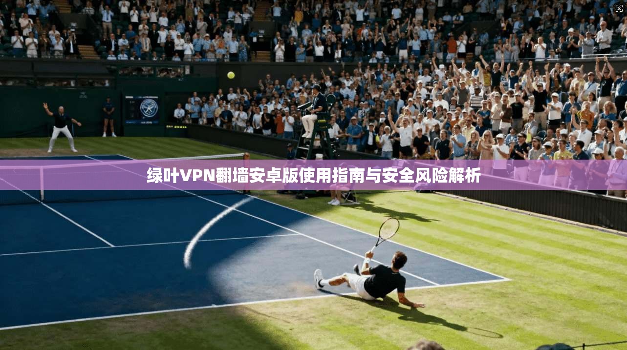绿叶VPN翻墙安卓版使用指南与安全风险解析