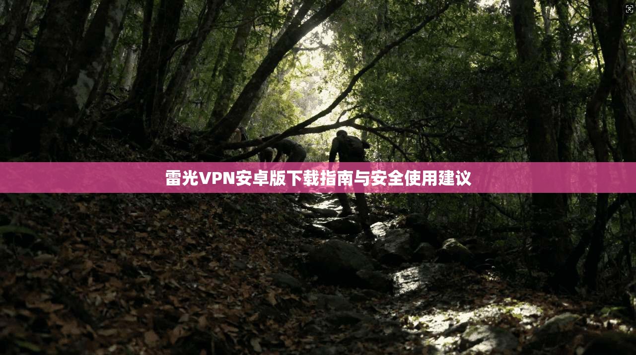雷光VPN安卓版下载指南与安全使用建议