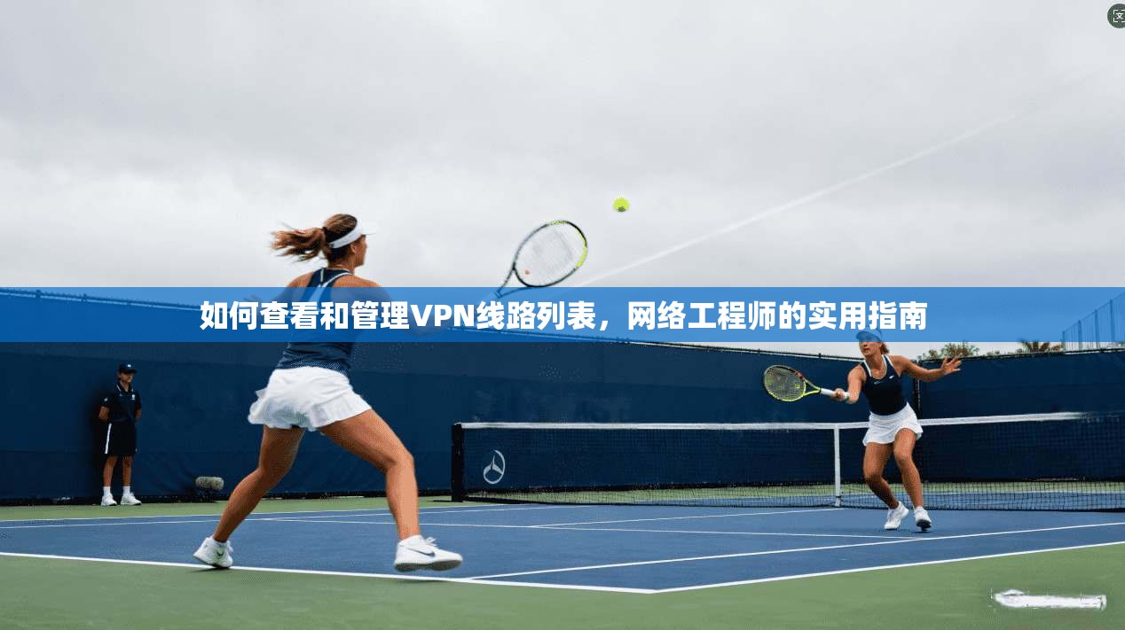 如何查看和管理VPN线路列表，网络工程师的实用指南