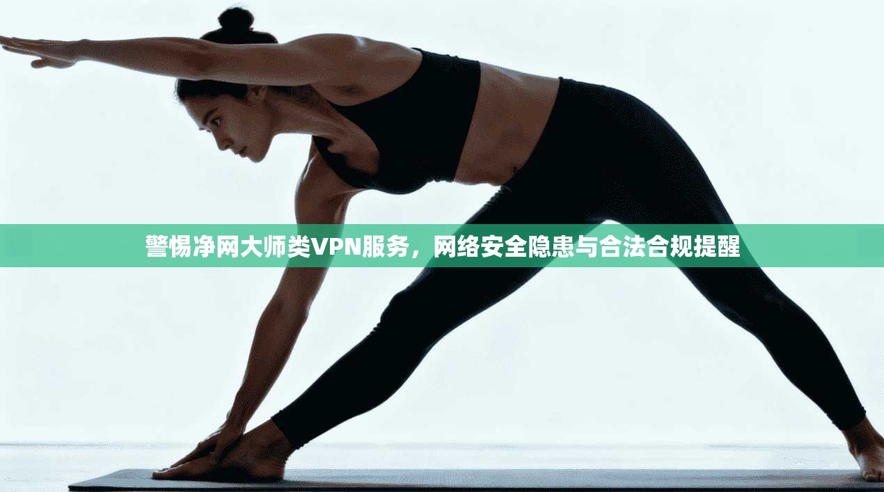 警惕净网大师类VPN服务,网络安全隐患与合法合规提醒