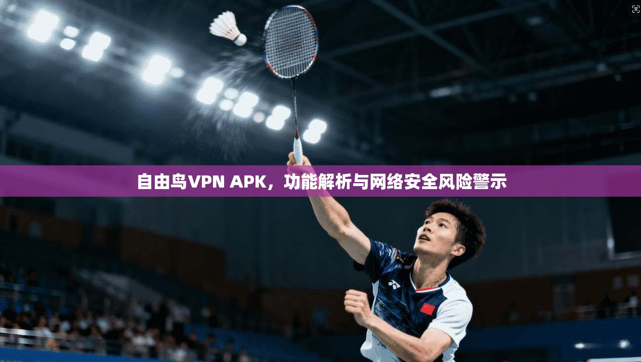 自由鸟VPN APK,功能解析与网络安全风险警示